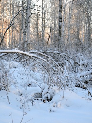 астропрогноз 19 г