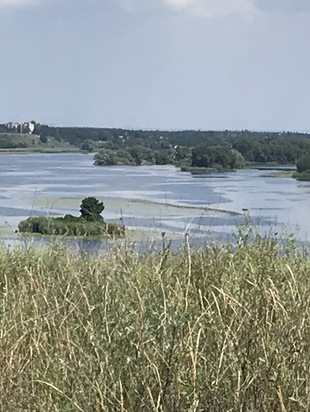 Img 0793