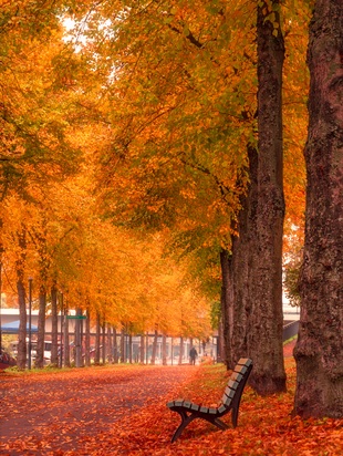 астропрогноз