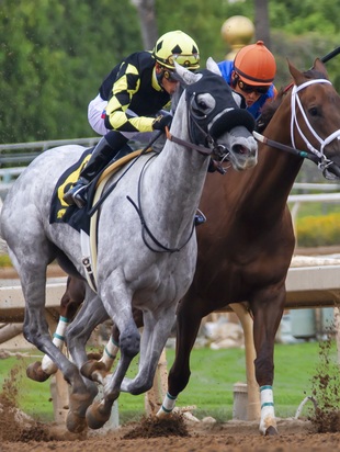 он-лайн курс из 5 частей.