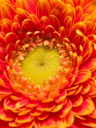 энергетика 